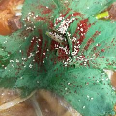 Jizhoutudou Soup User Photo