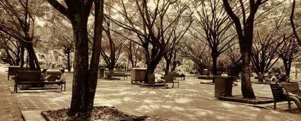 People's Park