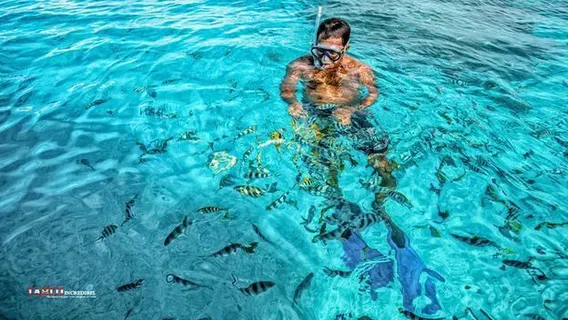 Scuba Diving in Bora Bora