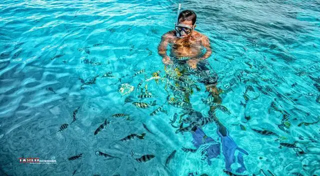 Scuba Diving in Bora Bora