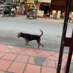 Traditional Khmer Food Restaurant User Photo