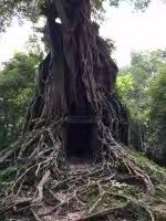三波坡雷古寺