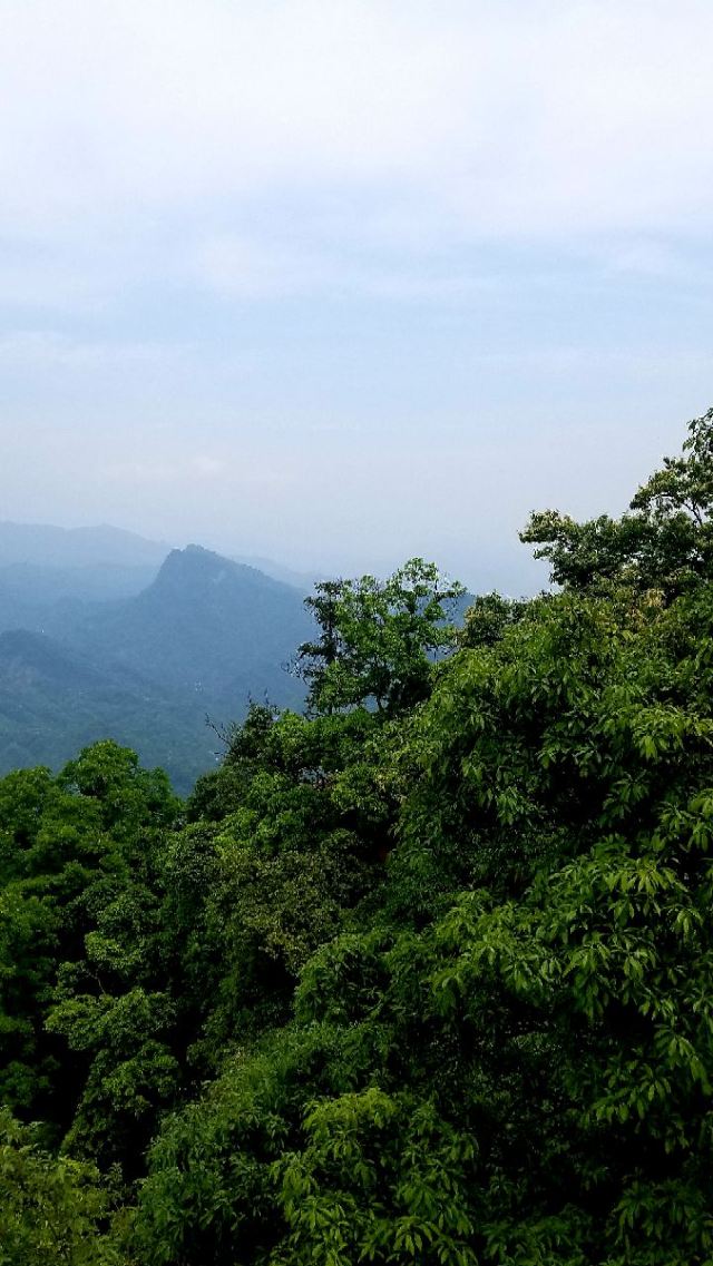 Qingcheng Mountain