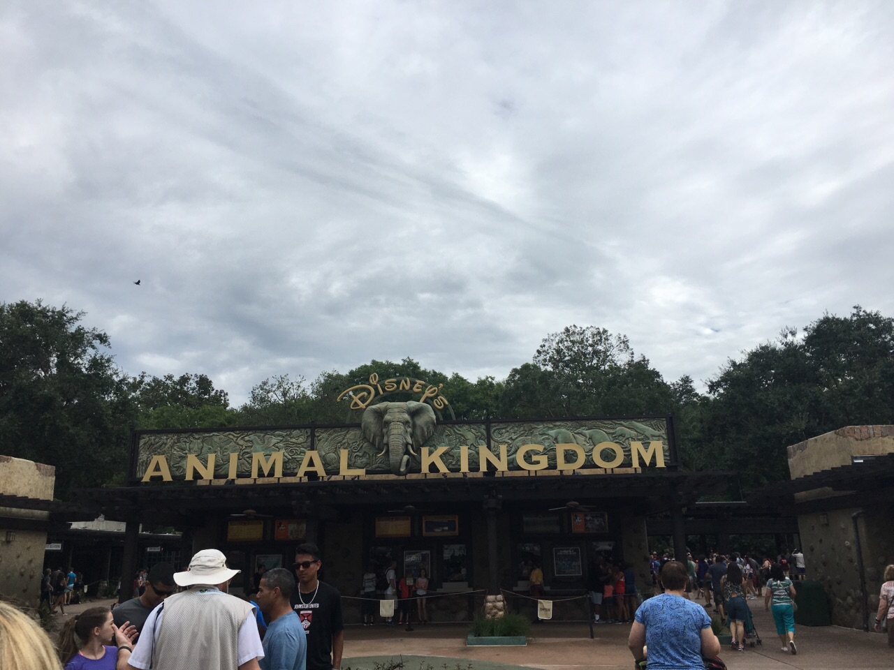 Disney's Animal Kingdom Theme Park - Bay Lake Travel Reviews｜  Travel Guide