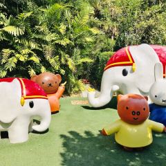MIFFY'S GARDEN CAFÉ User Photo