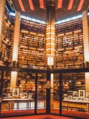 Robarts library