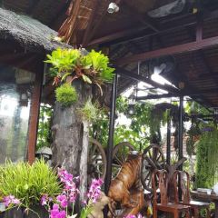 Natural Restaurant User Photo