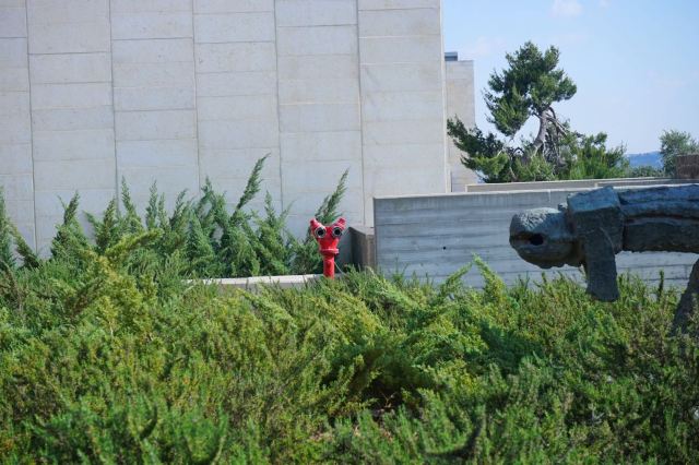 The Israel Museum