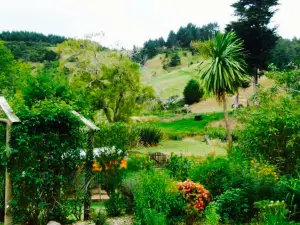 Puhoi Cottage Tea Rooms