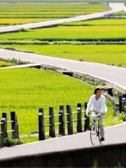 池上環鄉自行車道