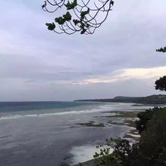 Bohol Bee Farm Resort User Photo