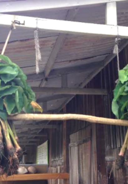 Waiahole Poi Factory