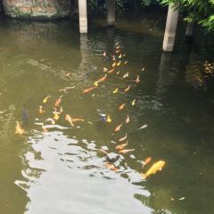 PANXI·RESTAURANT User Photo