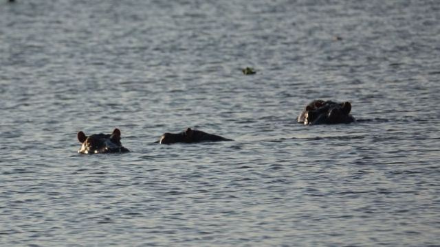 Lake Naivasha