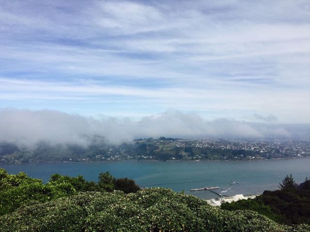 Otago Peninsula