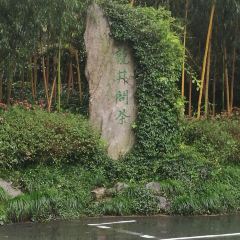 十八棵（老龙井）御茶园(老龙井店) User Photo