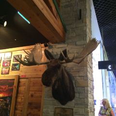 Texas Roadhouse User Photo
