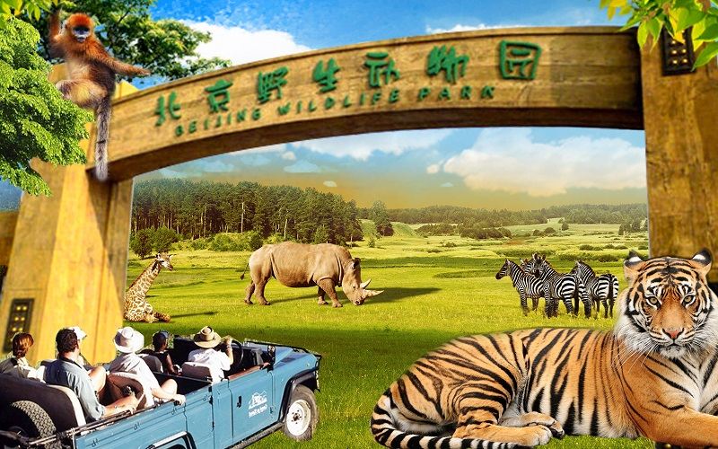 Daxing Airpot