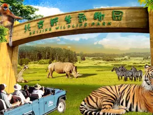 베이징 야생동물원(북경 야생동물원)