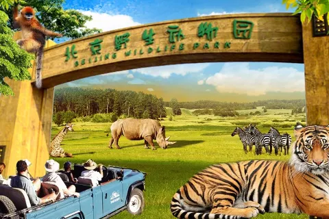 베이징 야생동물원(북경 야생동물원)