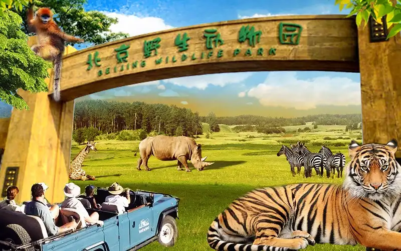 Hotels near Beijing Wildlife Park