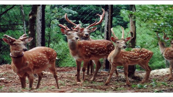 KunmingTours