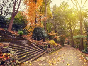 Dandenong Ranges National Park