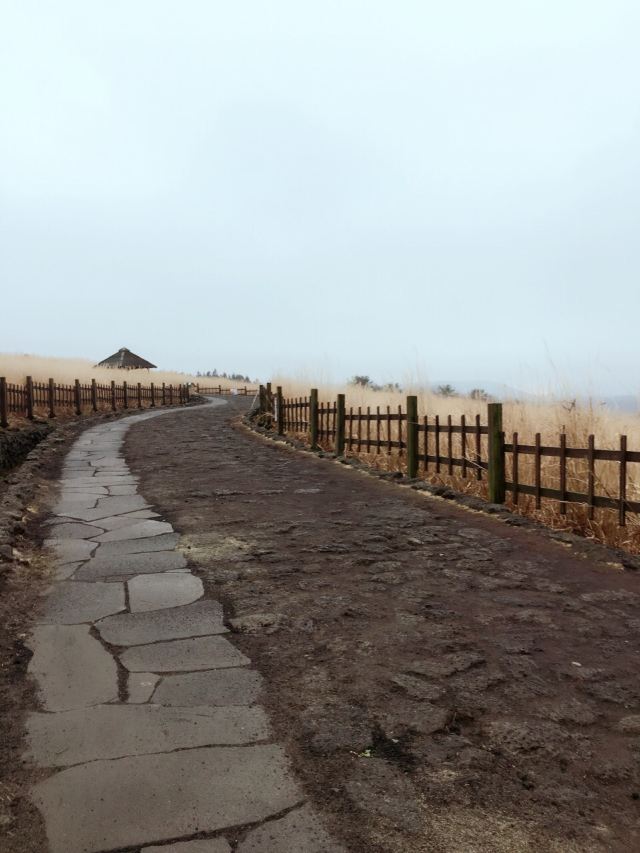山君不離