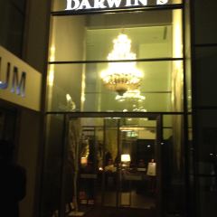 Darwin's Café User Photo