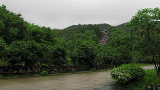 窑址风景秀美，坐落在武夷山的西北侧，这里属于风景区，但游客太