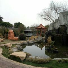 XIN YI SHI SHUI KOU YU DOU SHENG TAI NONG ZHUANG User Photo