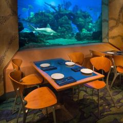Reef Restaurant User Photo