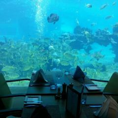Aqua - Aquarium Restaurant User Photo