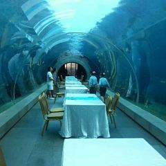 Aqua - Aquarium Restaurant User Photo