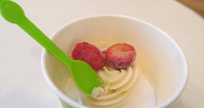 Yogurt Land