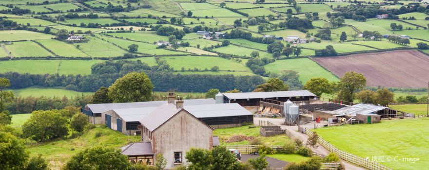 Northern Ireland