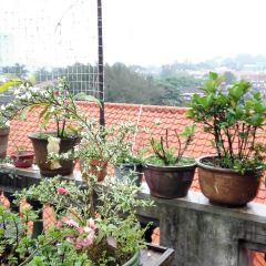 Cao Mu Shi Jing Café User Photo