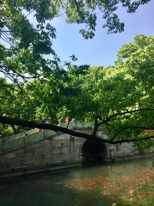 法雨寺