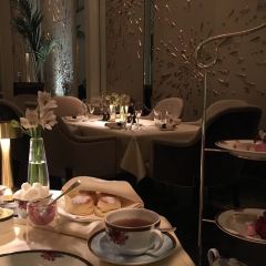 Palm Court User Photo