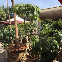 沈卫国卤鸡店(总店) User Photo