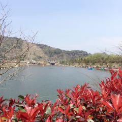 HOU AN CUN KE ZHI GU User Photo