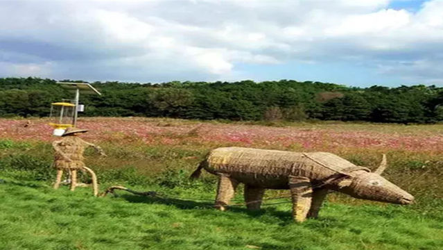 Huaqiangu Scenic Area