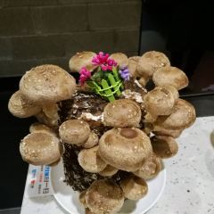 Lao Wang Guo Wu Indian Restaurant (SiChuan North Road) User Photo