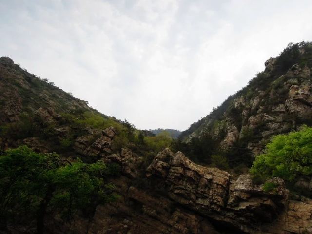 진롱쓰 국가삼림공원