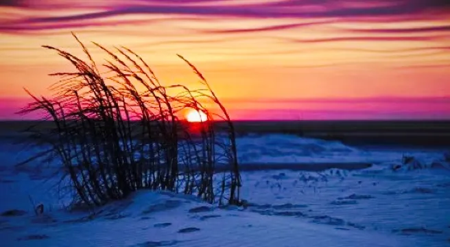 Miguel's Beach'n Baja