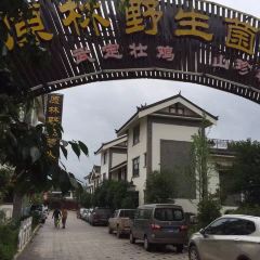 YUAN LIN YE SHENG JUN HUO GUO User Photo