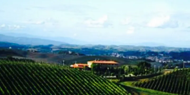 La Taverna Del Castello