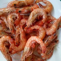 Chunmanyujia (renjiatai) User Photo