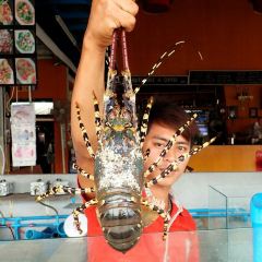 Mit Samui Restaurant張用戶圖片