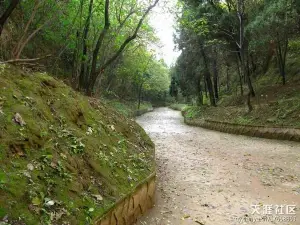 黄河峡谷ラフティング